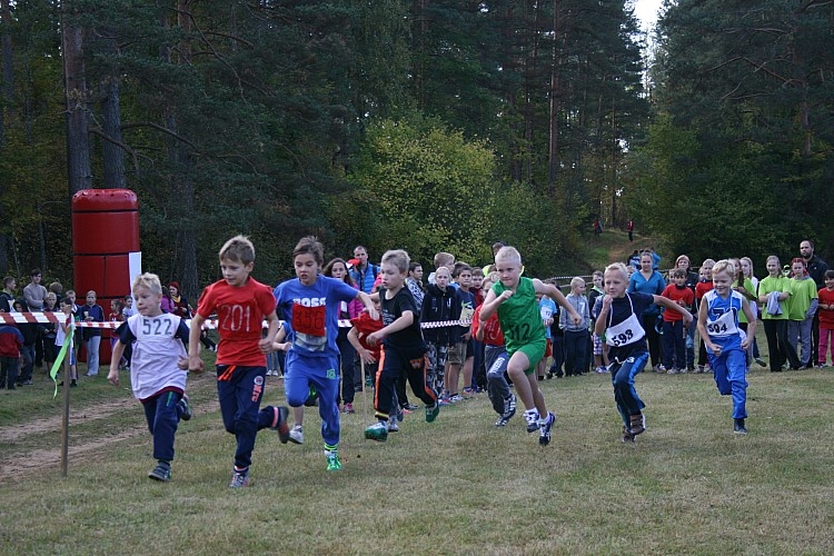 Autors: Jana Igaviņa