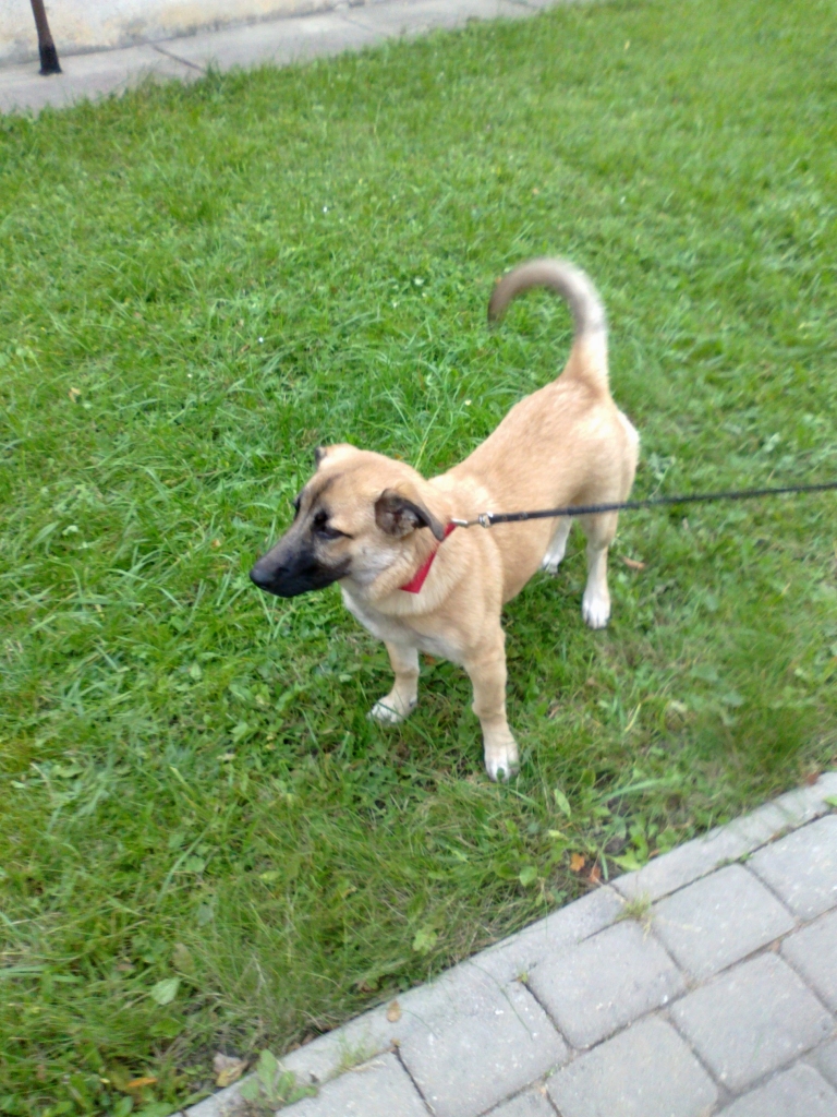 Autors: no personiskā arhīva