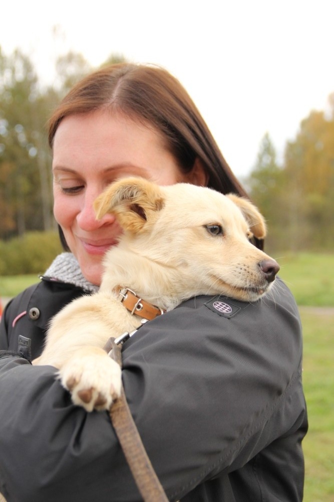 Autors: no dzīvnieku mājas 