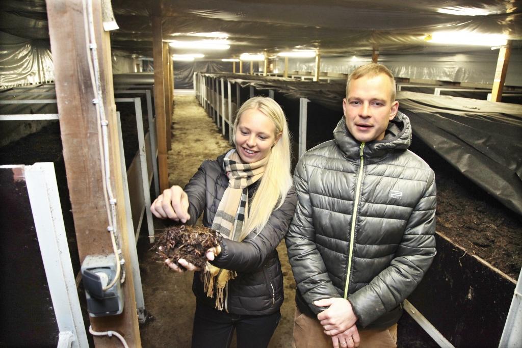 Jaunie uzņēmēji Daniela un Inguss Vībāni, kuri izveidojuši biohumusa ražotni, šodien var būt gandarīti, ka tomēr spēja noticēt sev un savai iecerei, ka biznesam, kas aizsākās ar 20 kilogramiem sarkano Kalifornijas slieku, ir nākotne. 
Autors: Gatis Bogdanovs  