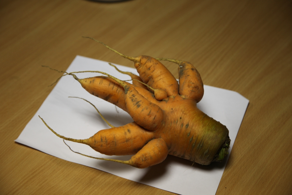 Autors: Ginta Alberte