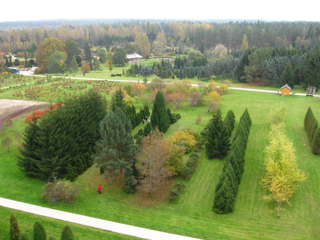Lai pārliecinātos, cik Latvija ir skaista arī rudenī, savus lasītājus vedām ekskursijā uz tuvējo Madonas un Cesvaines novadu. Kalsnavas arborētumā plašo augu kolekciju var apskatīt gan tuvumā, gan arī šo skaistumu izbaudīt, uzkāpjot skatu tornī.  
Autors: Pārsla Konrāde