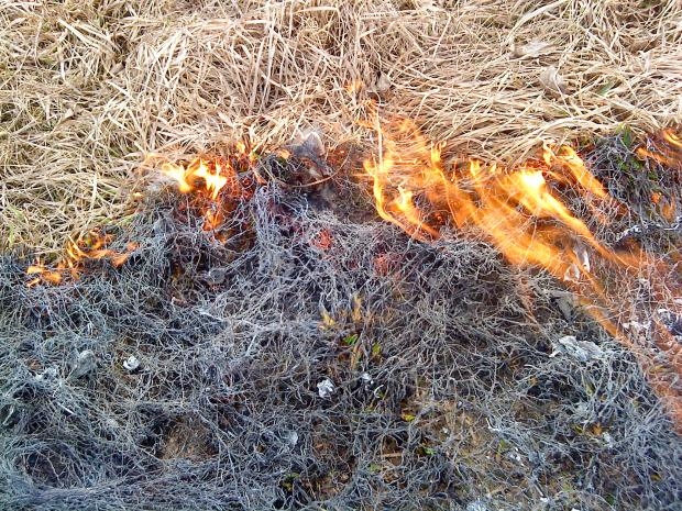 Pagājušajā gadā Gulbenes novadā reģistrēti 33 kūlas ugunsgrēki un izdeguši 200 610 kvadrātmetri teritorijas; šogad -  143 kūlas ugunsgrēki un izdegusi 2 651 514 kvadrātmetru (265 hektāru) liela platība. 
Autors: Ilustratīvs foto