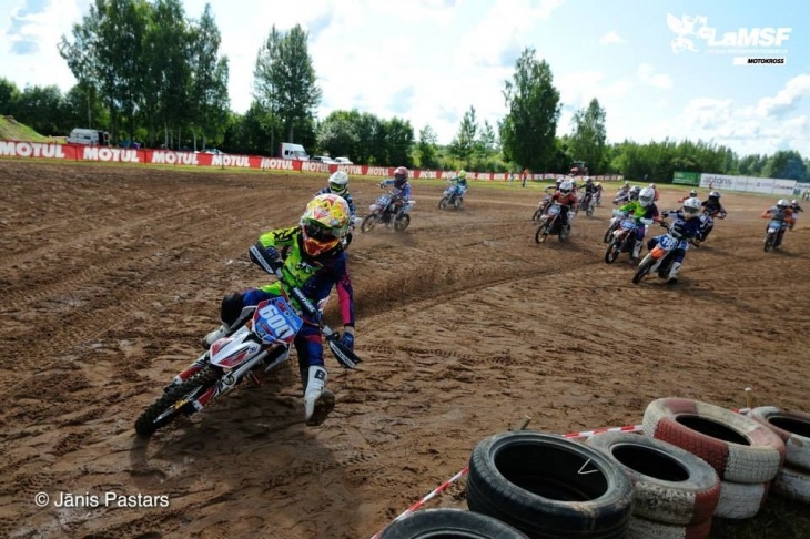 Autors: www.lamsf.lv