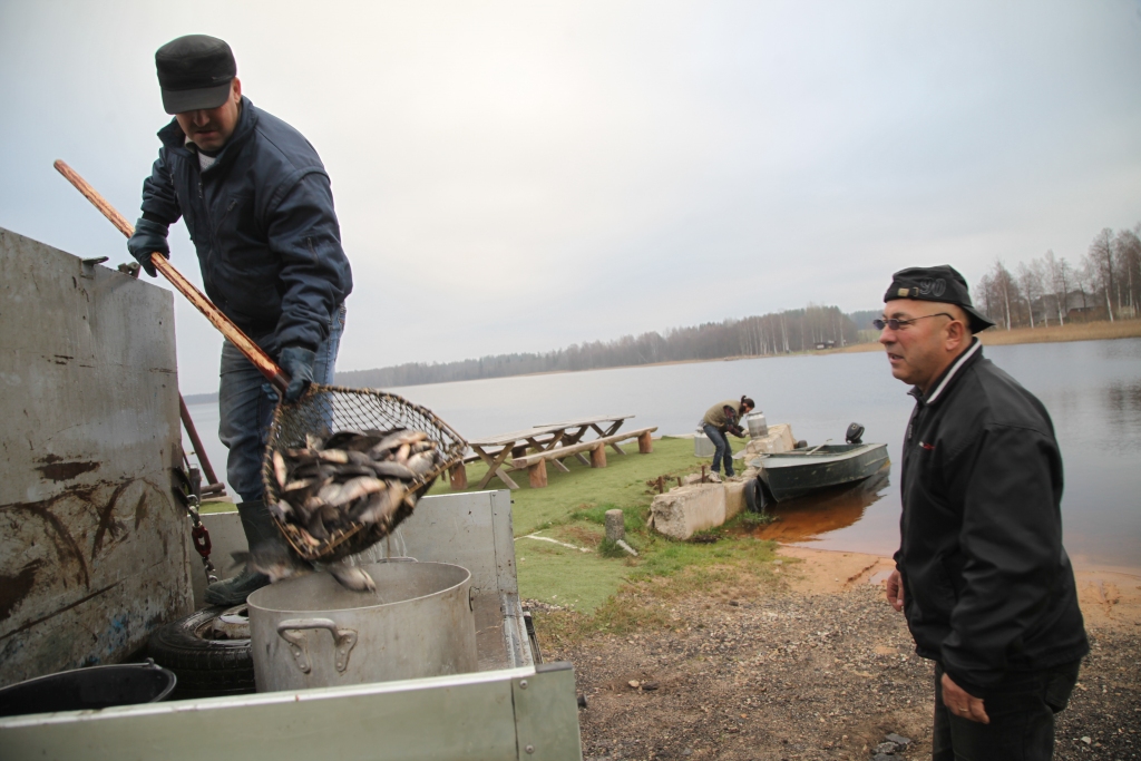 Nedaudz karpu un līdaku, bet pārsvarā karūsu mazuļi šonedēļ tika ielaisti Ludza ezerā.
Autors: Gatis Bogdanovs