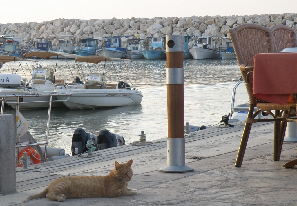 Autors: Iveta Krūmiņa