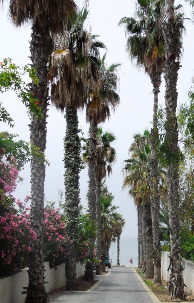 Autors: Iveta Krūmiņa