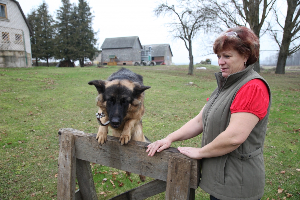 “Jaundreiņu” saimniecei Daukstu pagastā tagad ir arī vācu aitu šķirnes sunīte Marta. No visas Keibenieku ģimenes tieši namamāti Olitu viņa ir izvēlējusies par savu saimnieci. Speciāli Martai pagalmā izveidots sporta ierīču laukums. Suni apmācīs arī īpašuma apsardzei un nepiederošu personu aizturēšanai. 
Autors: Gatis Bogdanovs