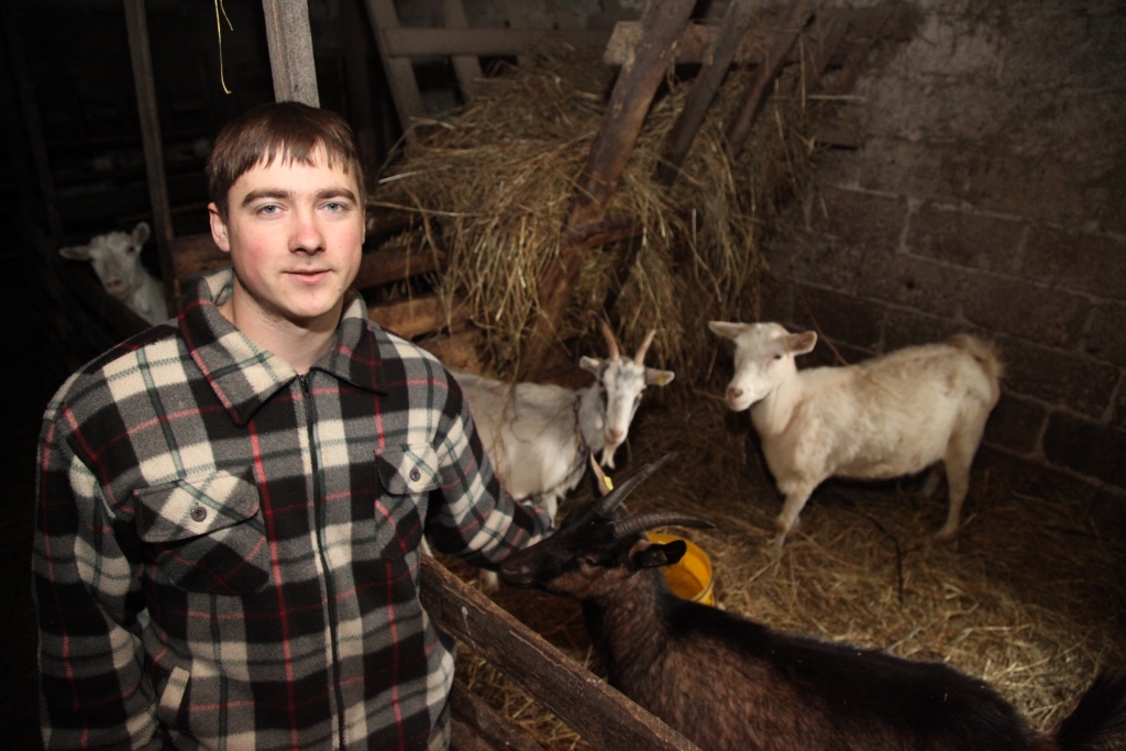 Jau nākamajā gadā kazām iekārtotā mītne kļūs vēl gaišāka un modernāka, jo Lizuma pagasta piemājas saimniecības „Avotiņi” jaunais saimnieks Zigmārs Drubiņš ar tukšiem solījumiem nemētājas. 
Autors: Gatis Bogdanovs