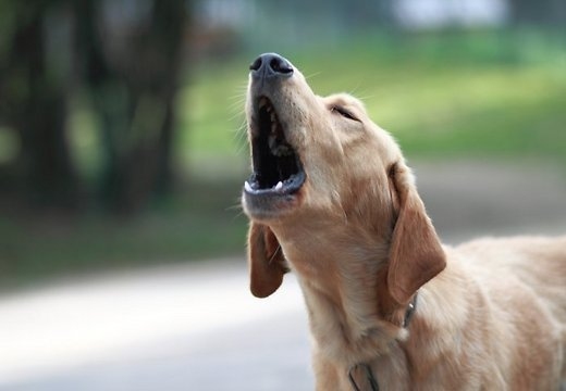 Autors: Ilustratīvs foto (delfi.lv)