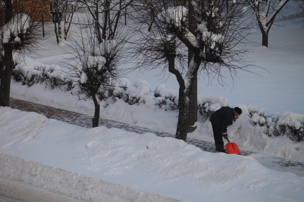 Autors: Ilustratīvs foto