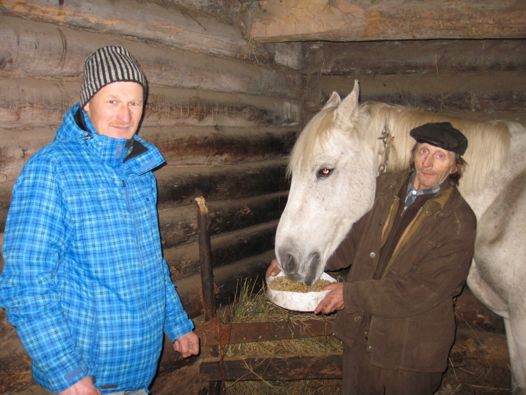 Auzu maisu kā dāvanu izglābtajam zirgam Persikam sarūpējuši Valsts ugunsdzēsības un glābšanas dienesta Gulbenes daļas darbinieki. Cienastu piegādāja Dailis Kadils (no kreisās). Priecīgs bija gan Persiks, gan viņa saimnieks Jānis Akmentiņš. 
Autors: Diāna Odumiņa