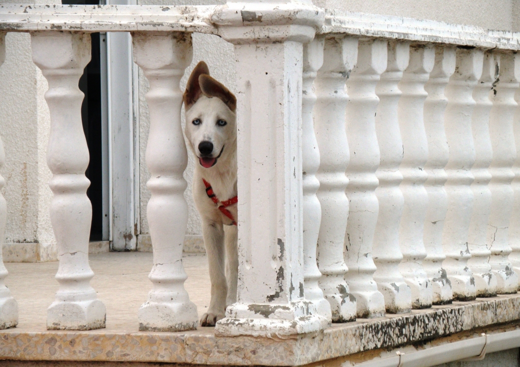 Autors: Iveta Krūmiņa