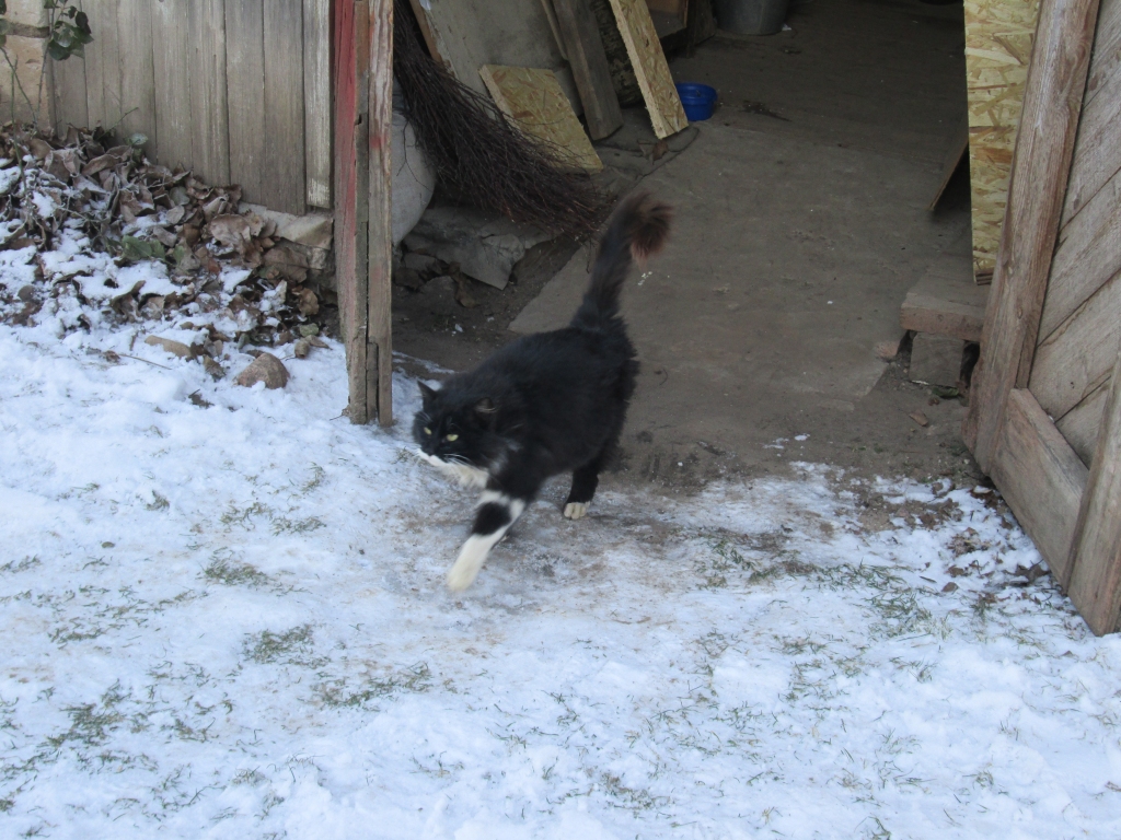 Autors: Ira Žeigure