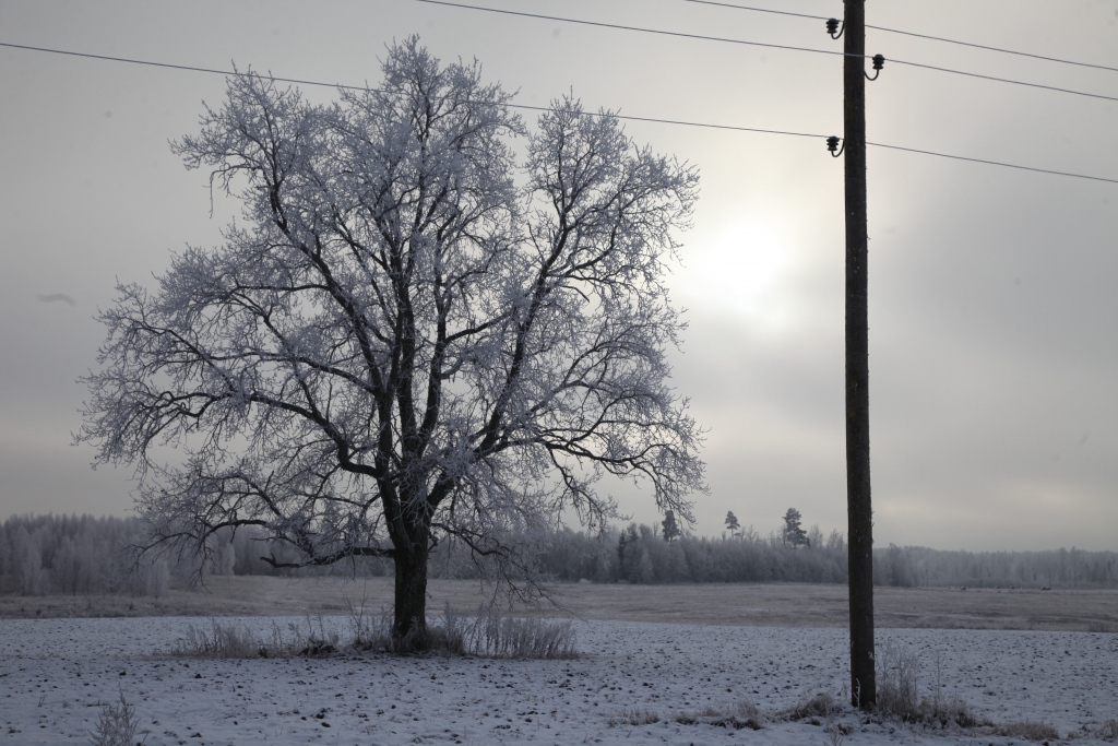 Autors: Gatis Bogdanovs