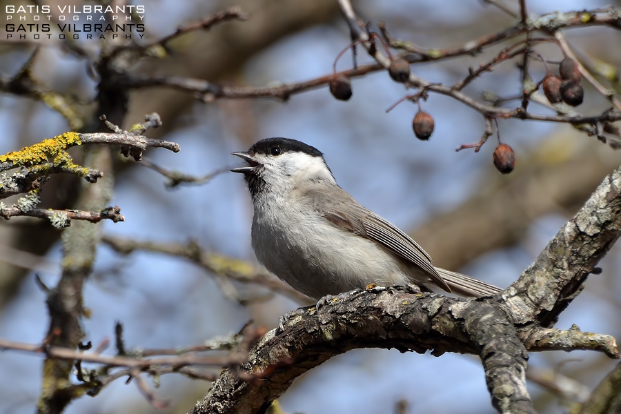 Autors: Ilustratīvs foto