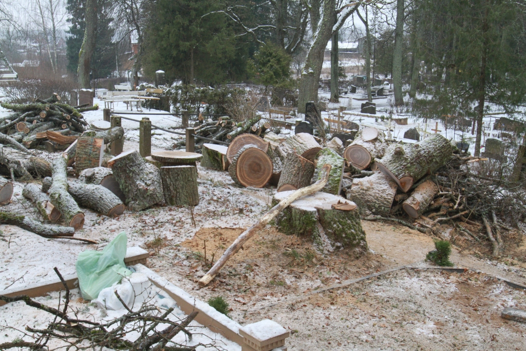 Tā pirmdien izskatījās Gulbenes vecajā kapsētā vietā, kur nupat pabeigta lielo koku zāģēšana un apkārtne vēl nav sakopta. 	
Autors: Gatis Bogdanovs