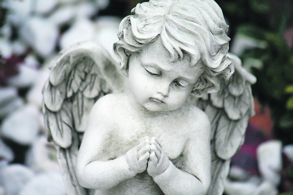 Autors: NO www.gotsigned.com