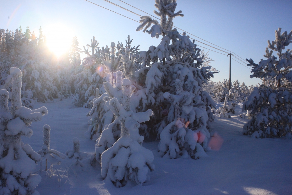 Autors: no “Dzirksteles” arhīva