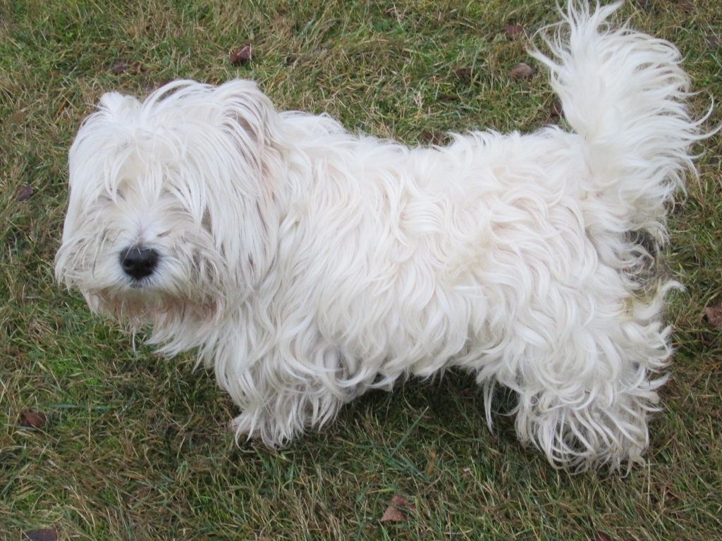 Autors: no personiskā arhīva