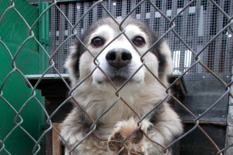 Autors: no LLU arhīva