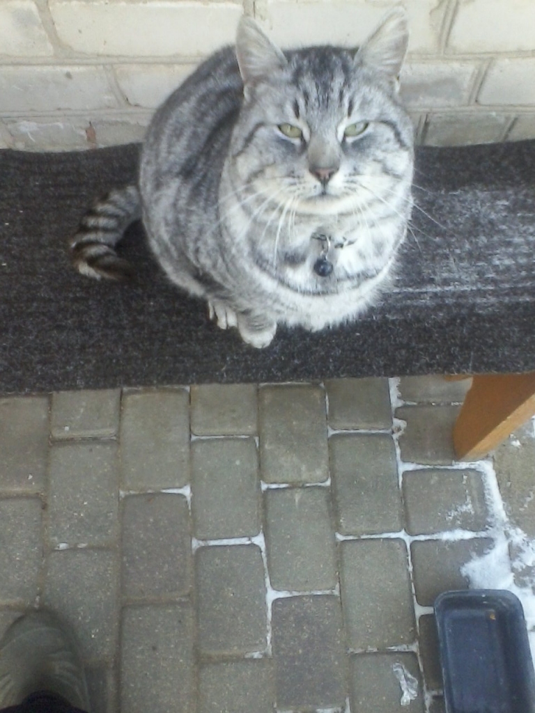 Autors: no personiskā arhīva