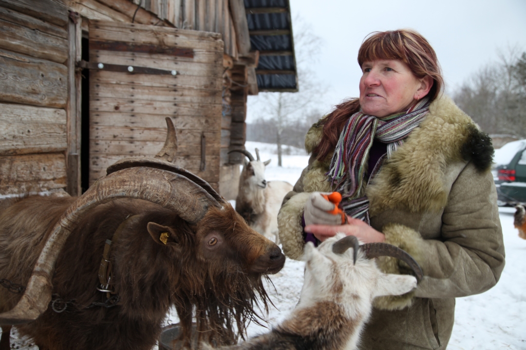 “Tagad, kad sāks pirkt lopiņus, tos kūtī iekšā ir jāved dūšīgam cilvēkam, tad lopi labi barojas,” pamāca Ligita un, dāvājot pupas “Dzirkstelei”, saka, ka dažas ir jāieliek ķešā, bet pārējās jāapēd, jo asaras jāizbirdina vecajā gadā. 
Autors: Gatis Bogdanovs