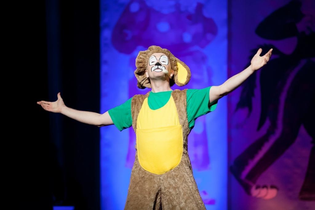 Aluksniesiem.lv raksta attēla aizvietotājs