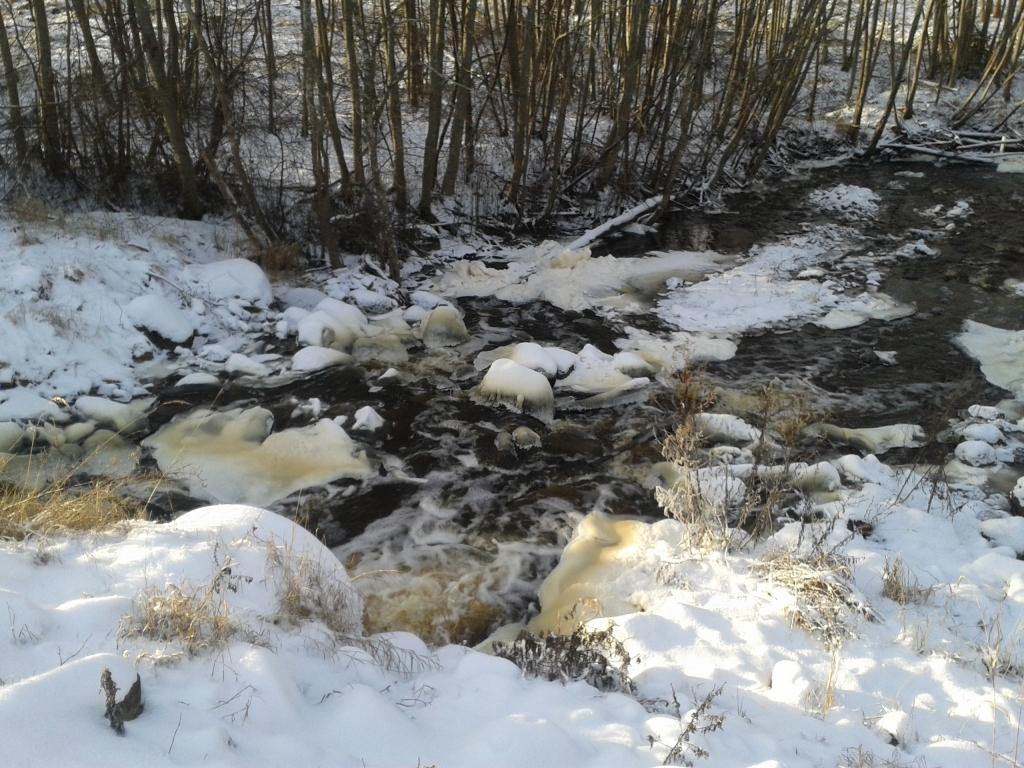 Autors: Ginta Alberte