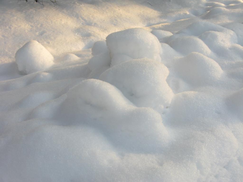 Autors: Pārsla Konrāde