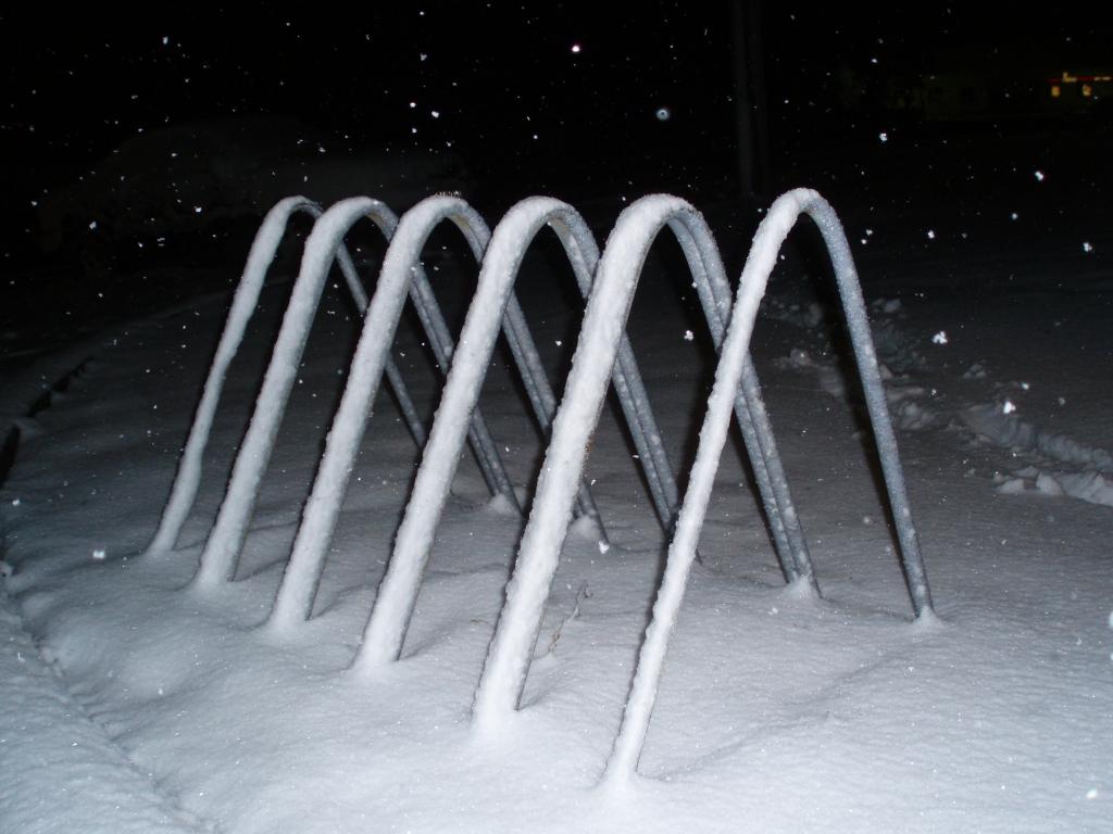 Autors: Pārsla Konārde