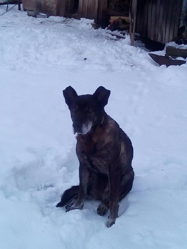 Autors: Ira Žeigure