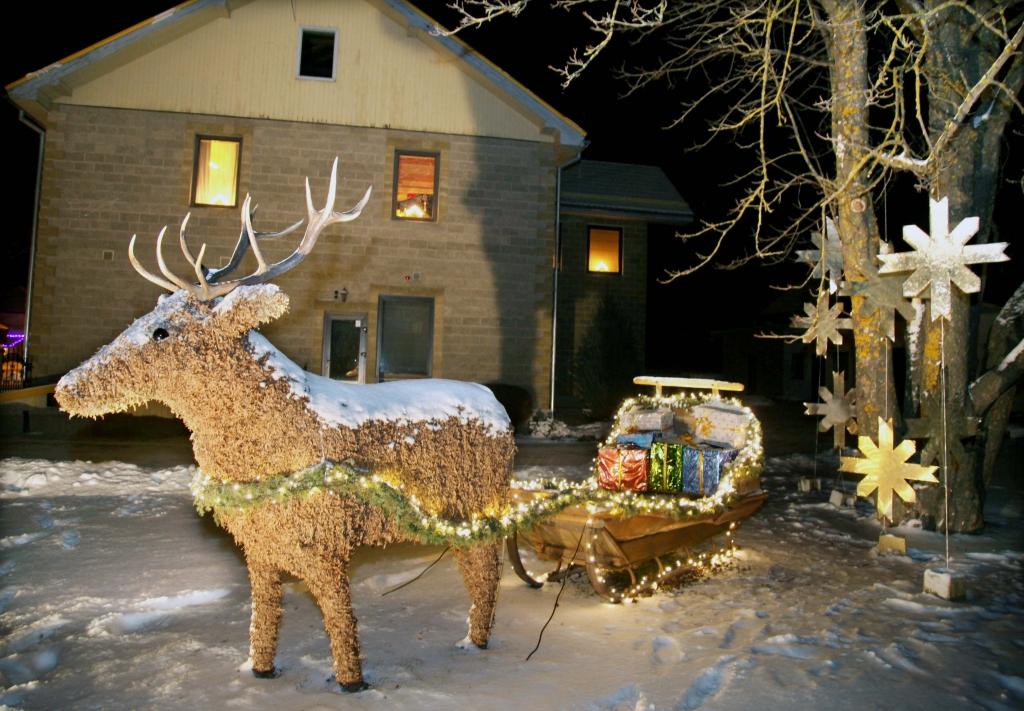 Savdabīgs risinājums ir vērojams Rīgas ielā 62 – ziemeļbriedis un metāla sniegpārslas.
Autors: Gatis Bogdanovs