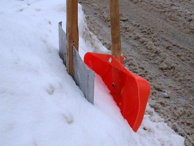 Autors: Ilustratīvs foto