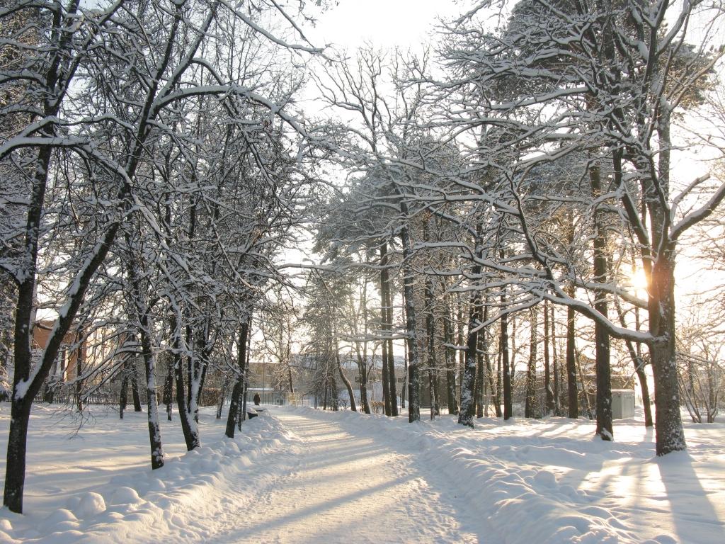 Autors: Pārsla Konrāde