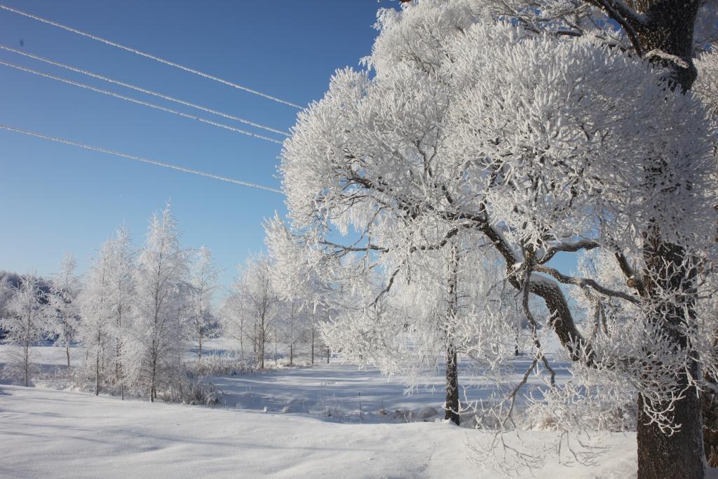 Autors: Gatis Bogdanovs