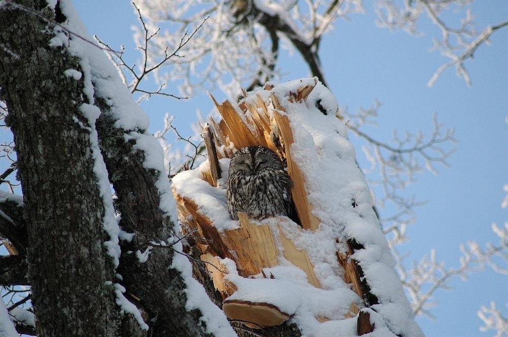 Autors: Ilustratīvs foto