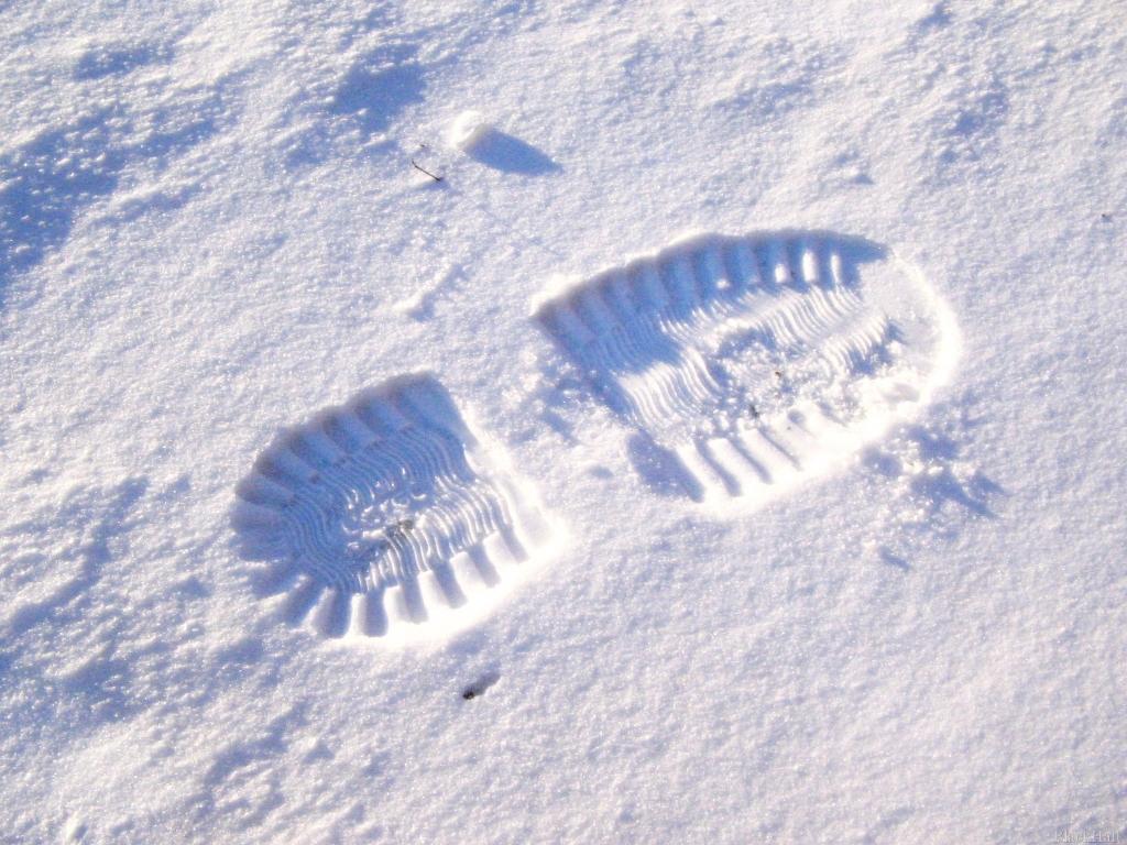 Autors: Ilustratīvs foto