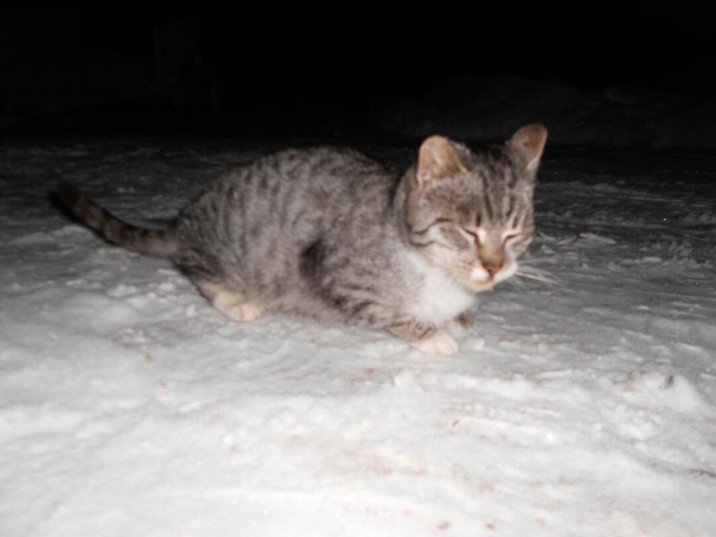 Autors: no personiskā arhīva