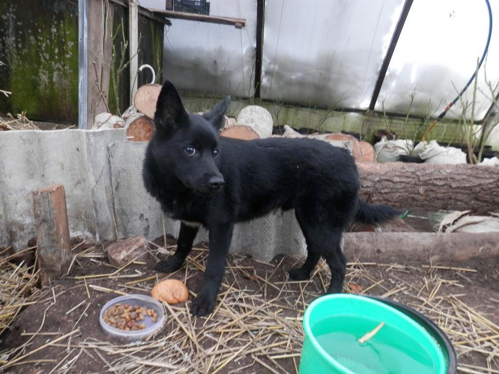 Autors: no personiskā arhīva