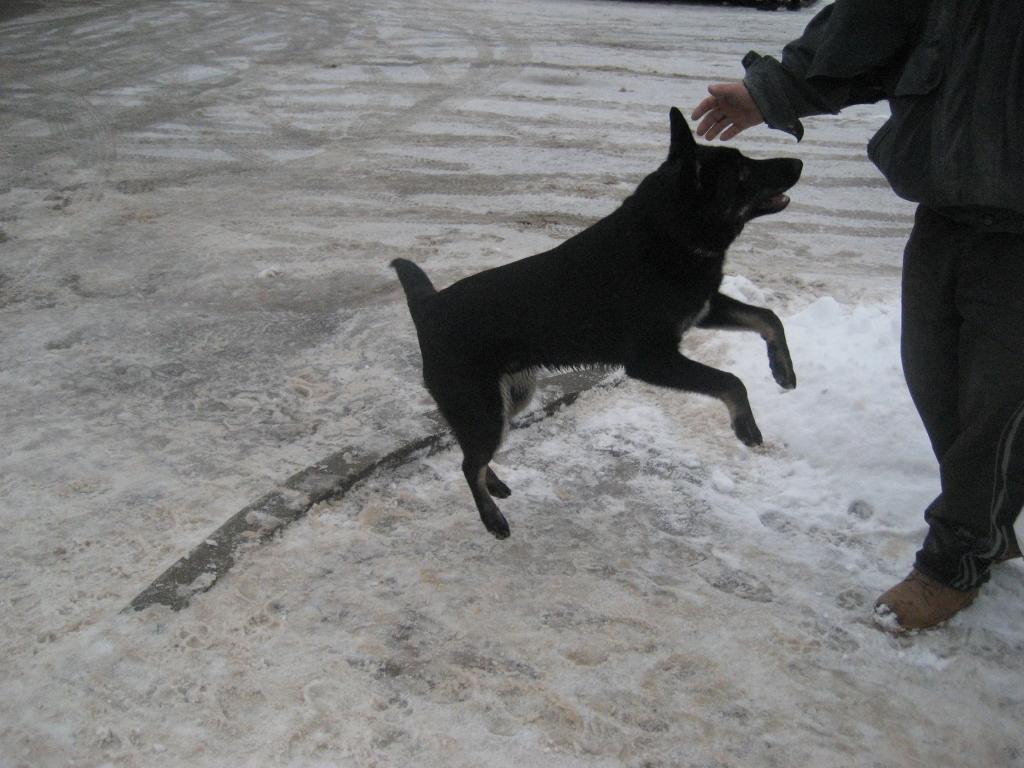 Autors: Ira Žeigure