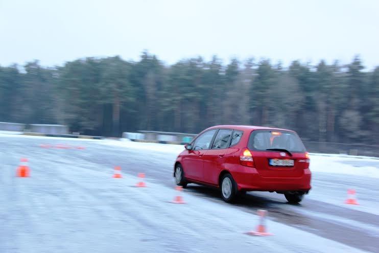 Autors: no CSDD arhīva