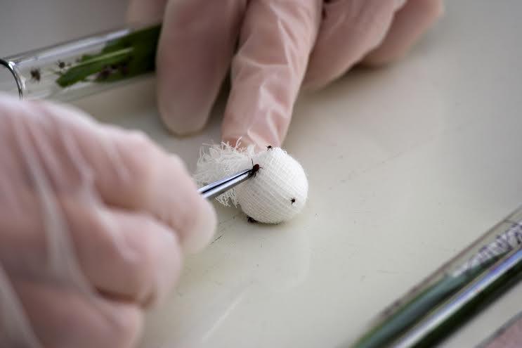 Autors: Ilustratīvs foto