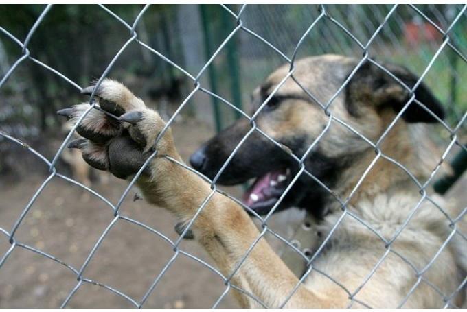 Autors: Ilustratīvs foto