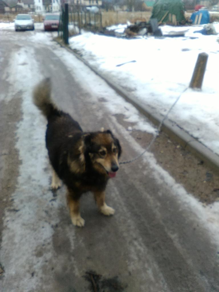 Autors: no personiskā arhīva