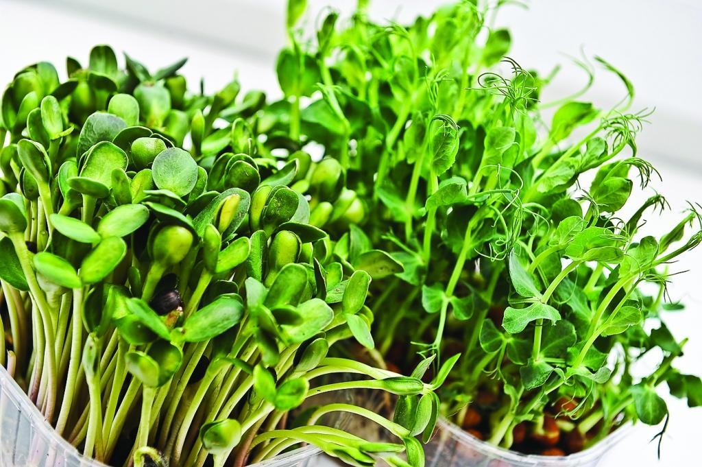 Autors: Raitis Puriņš