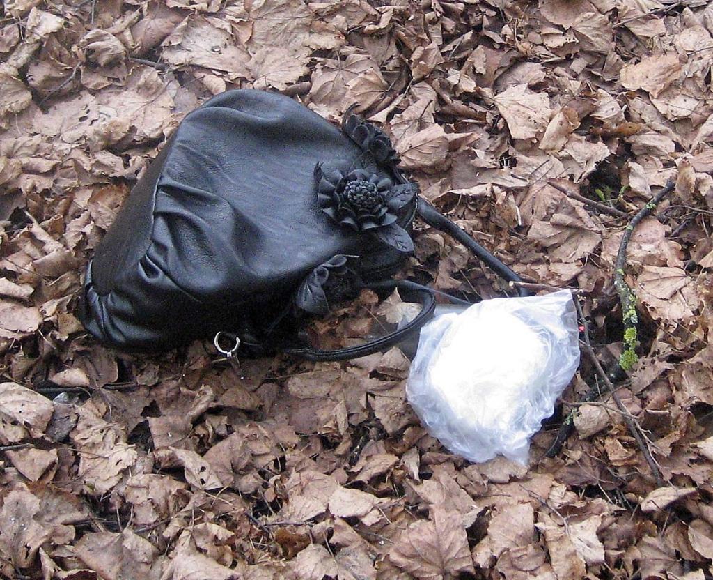 Gulbenē, Skolas ielā, otrdienas vakarā kādai sievietei tika nolaupīta rokassoma. Trešdienas rītā vietējie iedzīvotāji pamanīja blakus privātmājas teritorijā pāri sētai pārsviestu nezināmas piederības somu. Varbūt tā ir tā pati?  	                       
Autors: Diāna Odumiņa