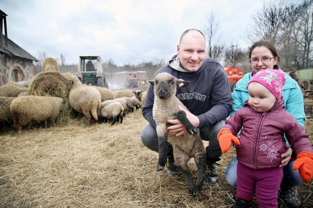 Pirms pieciem gadiem, kad kādreizējais jaungulbenietis Dainis Vaniņš kopā ar draudzeni Ludmilu atgriezās savā dzimtajā pusē un interesējās, kur varētu apmesties, pagastā neviens tā īsti neticēja, ka abi jaunie cilvēki savu dzīvi ir gatavi veidot laukos, audzēt lopus, apstrādāt zemi, cīnīties ar aizaugušajiem laukiem un glābt vecās saimniecības ēkas no sabrukšanas. Šobrīd Ludmila un Dainis audzina savu pusotru gadu veco meitiņu Anastasiju, audzē gaļas lopus, tiek galā ar 75 aitu ganāmpulku un soli pa solim attīsta saimniecību. 				
Autors: Gatis Bogdanovs
