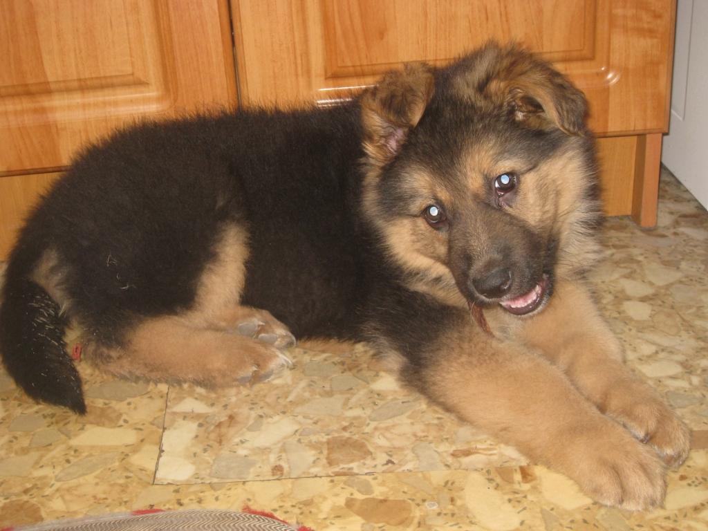 Autors: Tamāra Ulase