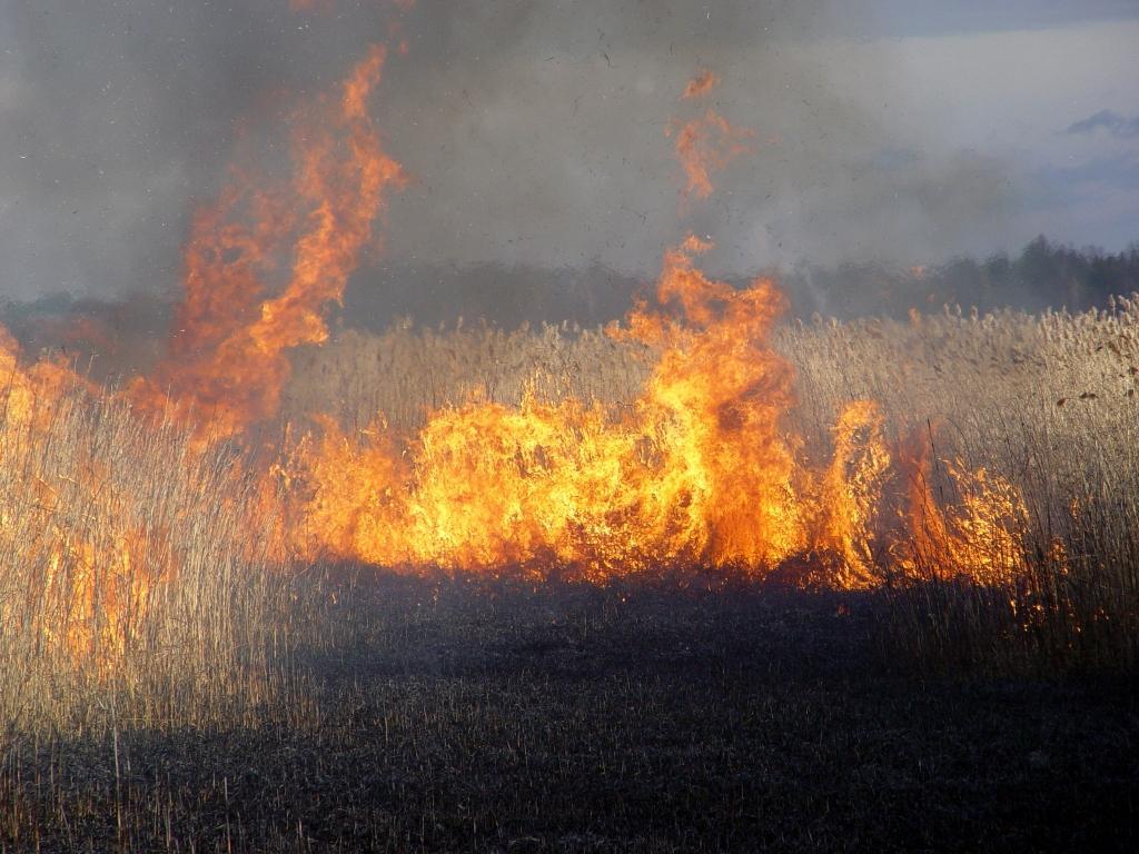 Autors: Ilustratīvs foto